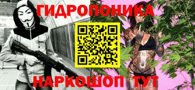 прущие грибы Сланцы