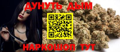 прущие грибы Сланцы