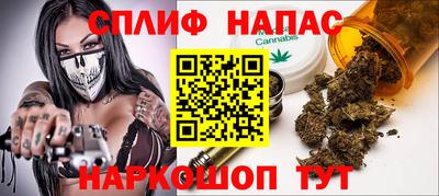 прущие грибы Сланцы