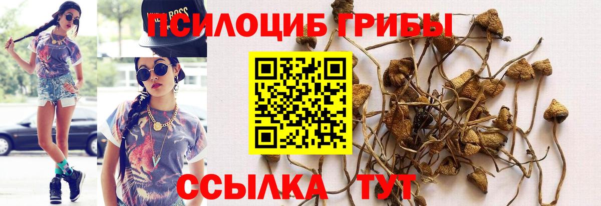 Нурлат  Галлюциногенные грибы MAGIC MUSHROOMS  Псилоцибиновые грибы мухоморы  Вход с VPN 